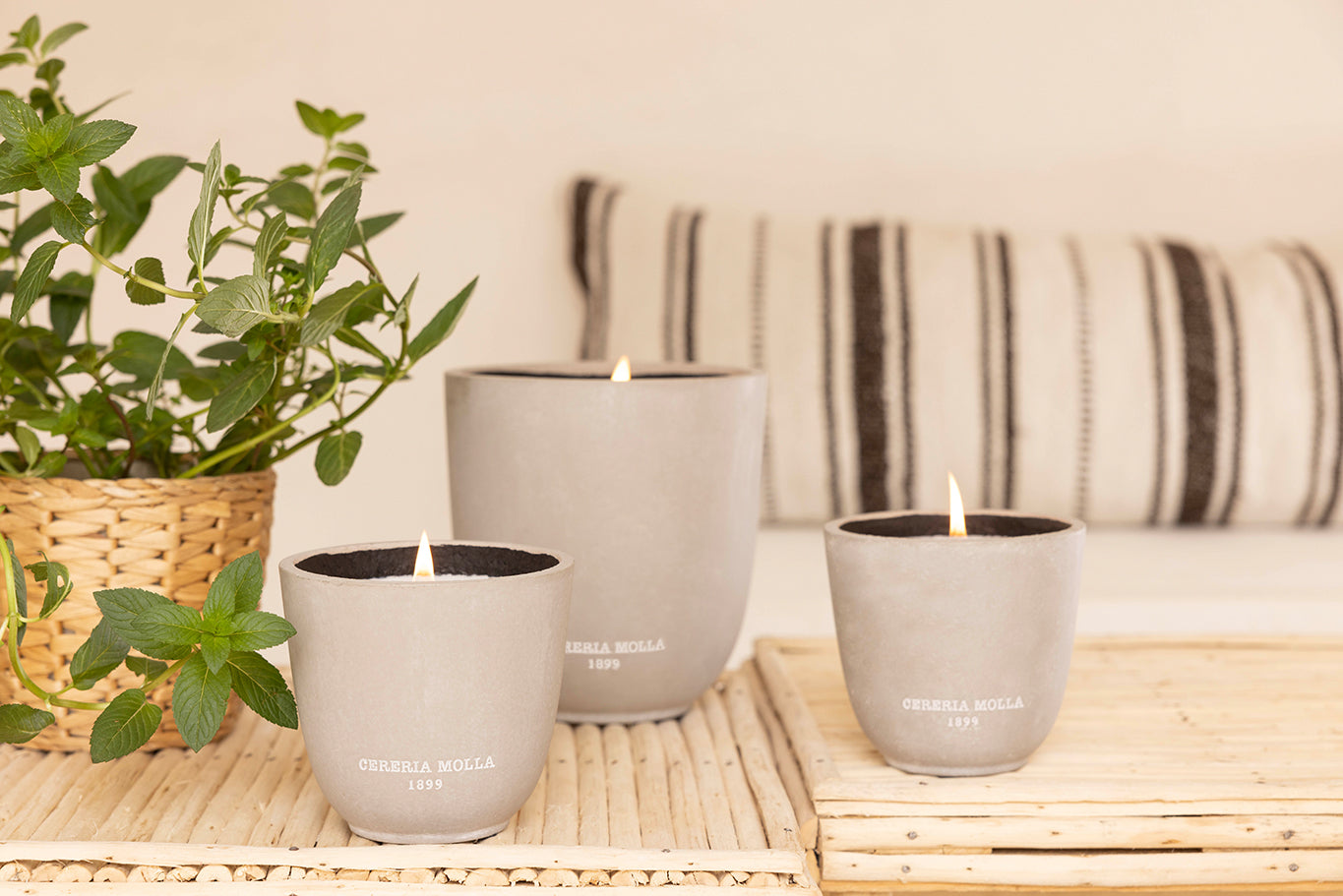 Kerze CITRONELA & MINT MACETA RUSTICA S SUMMER COLLECTION