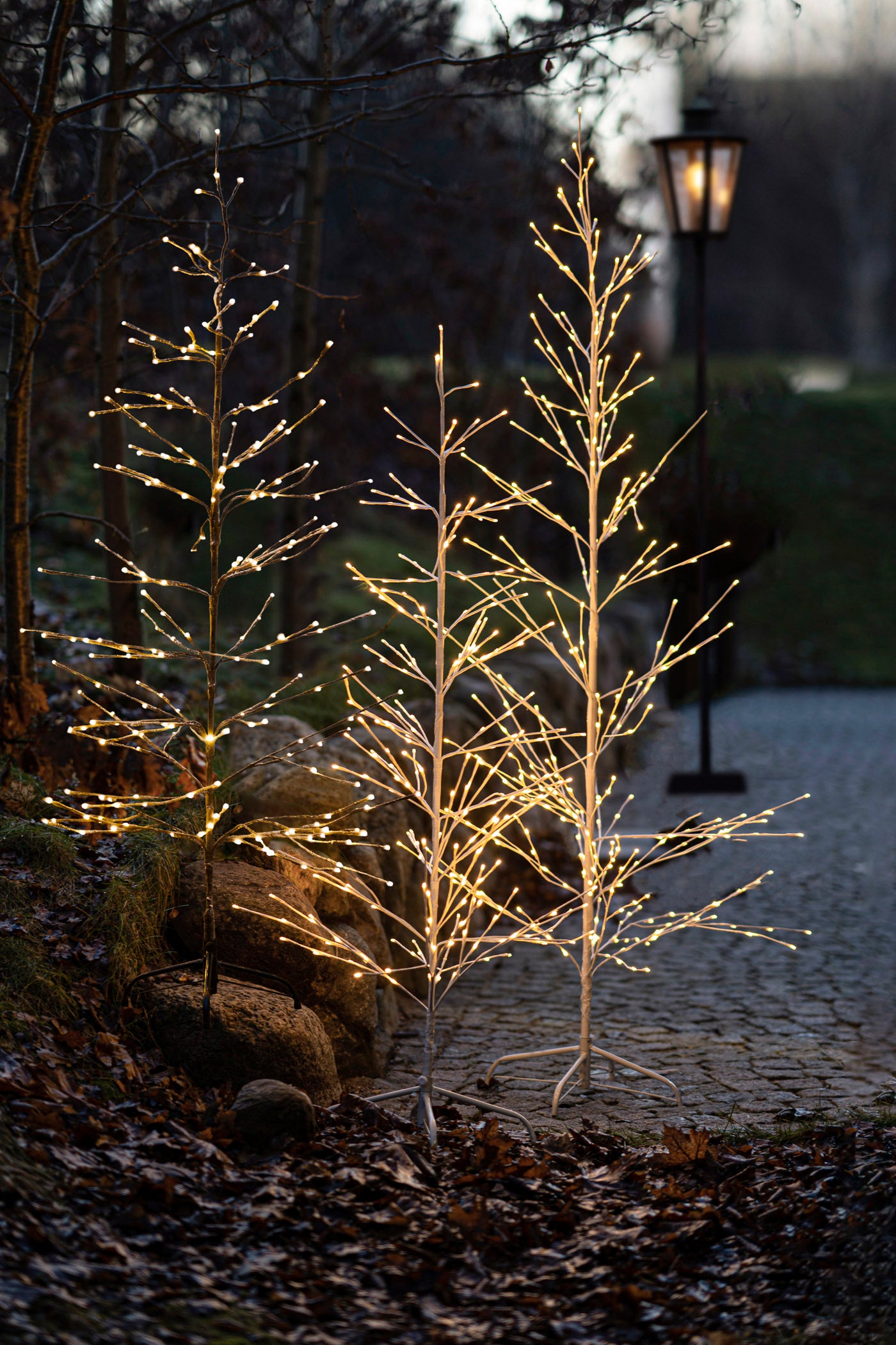 Lichterbäume ISAAC, in- und outdoor, 3 Größen
