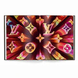 LOUIS VUITTON- The Modern luxury Series