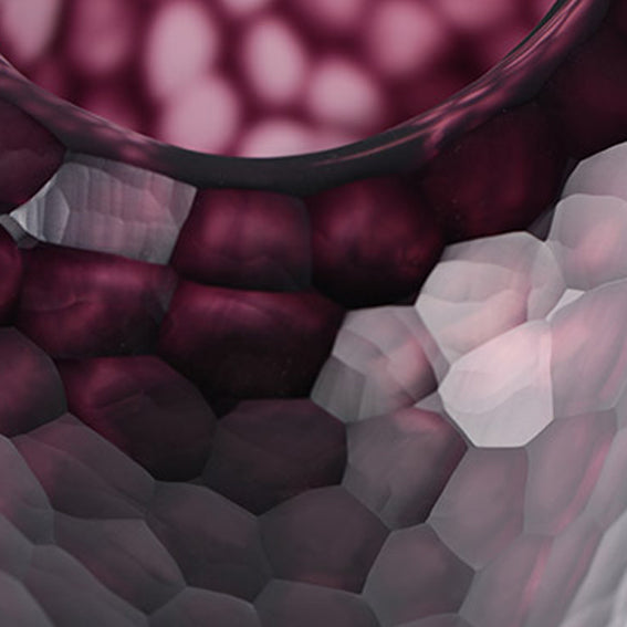 Vase SOMBA L amethyst