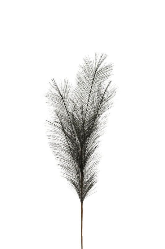 Deko-Zweig PAMPAS, schwarz, 85 cm