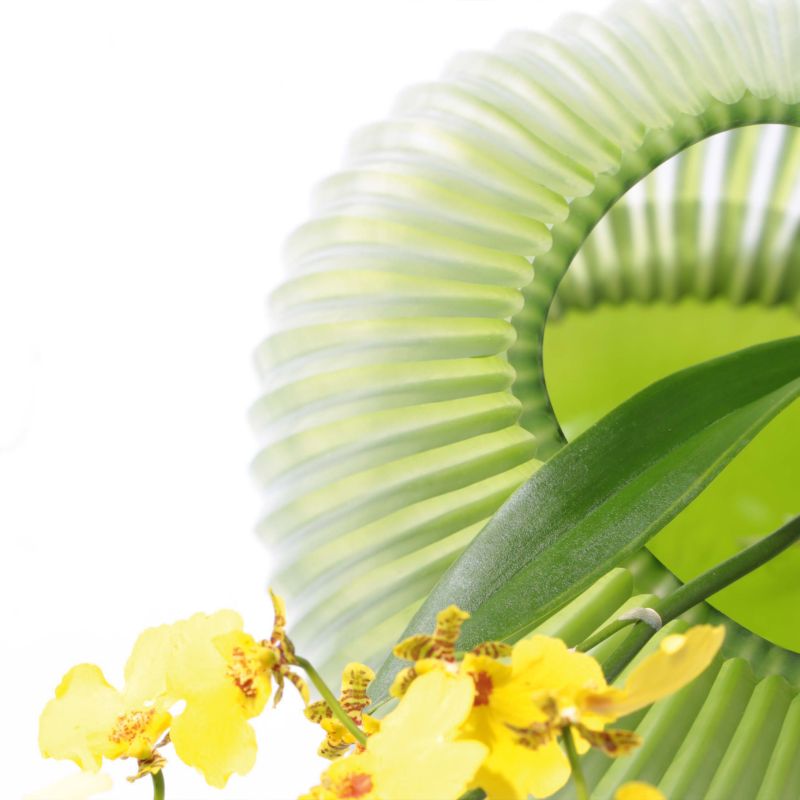 Vase NAGAA L clear/lightgreen